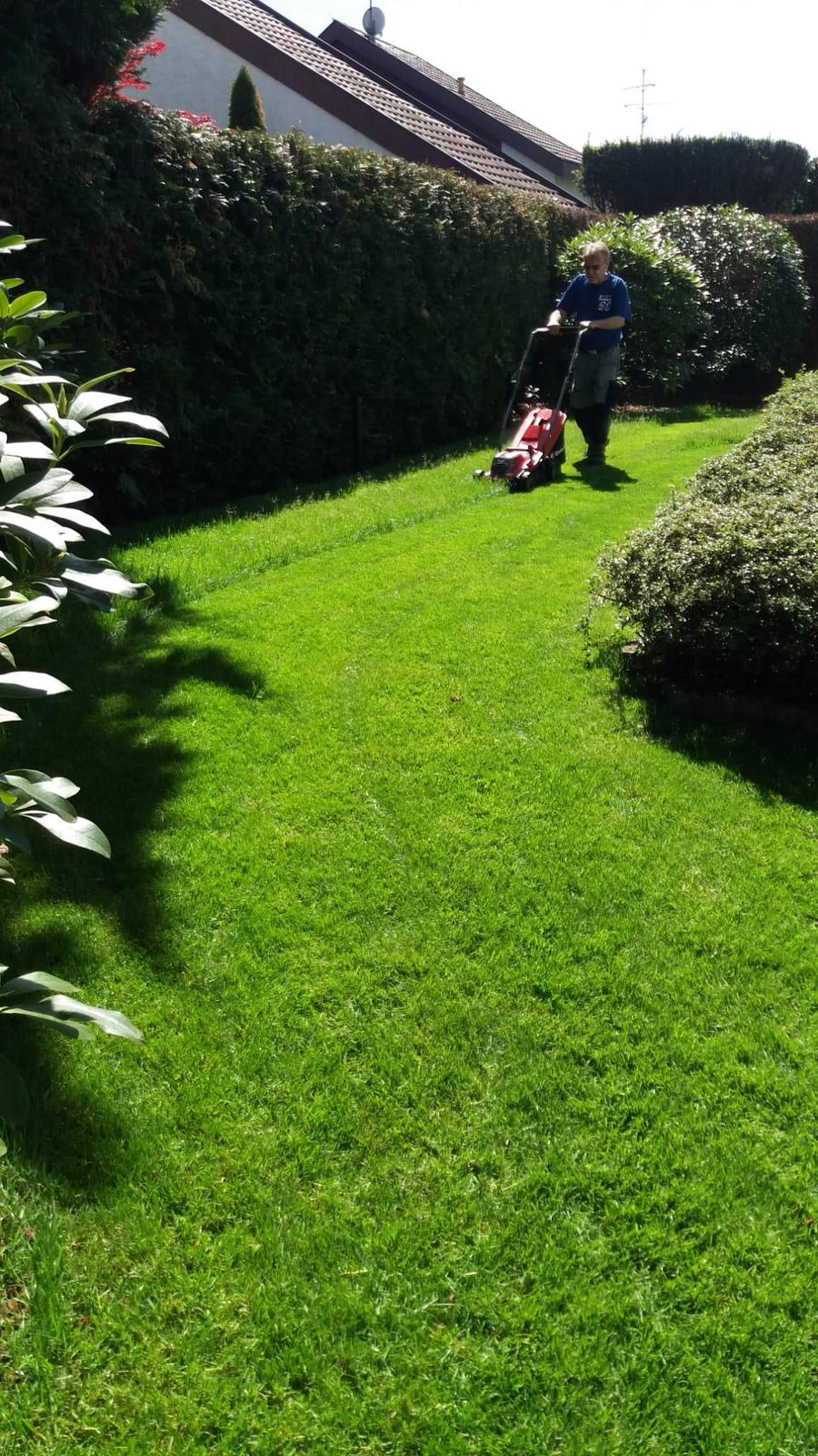 WhatsApp Chat Vorschau